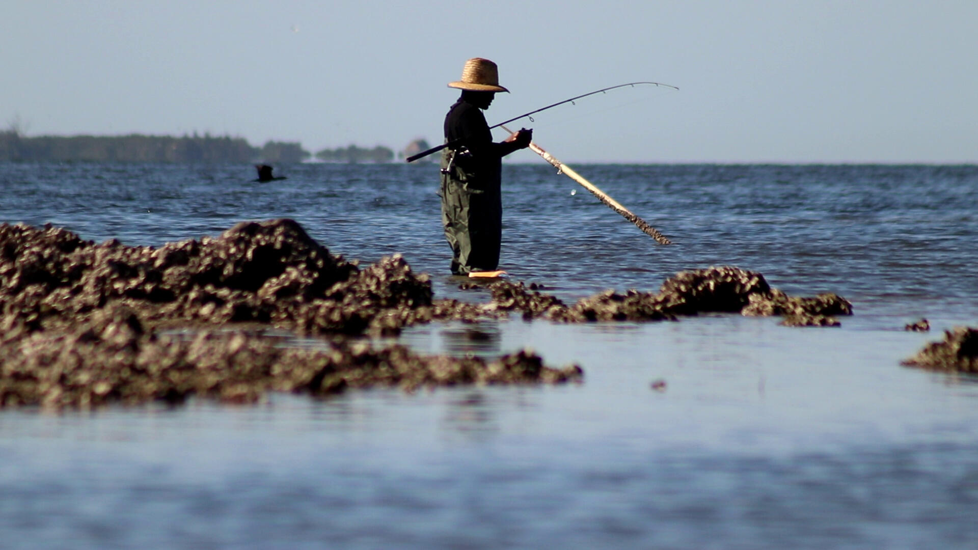 Key Vista Fisherman by Noagh